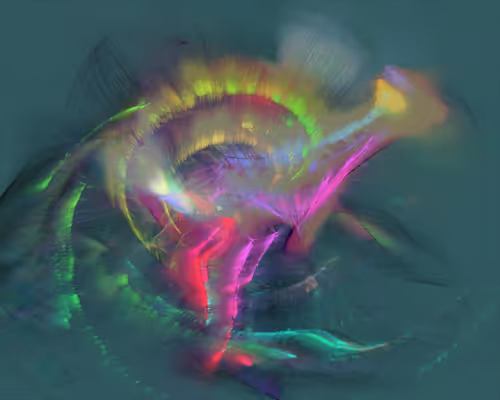 Item #288000066 Media