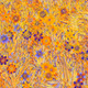 159000687