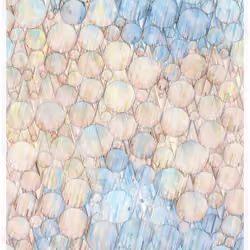 Glass #202