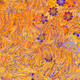Fragments of an Infinite Field #570