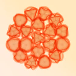Flowers #6070