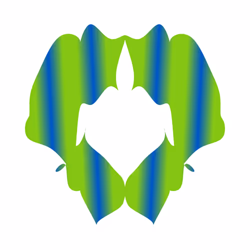 Item #161000080 Media