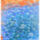 344000135
