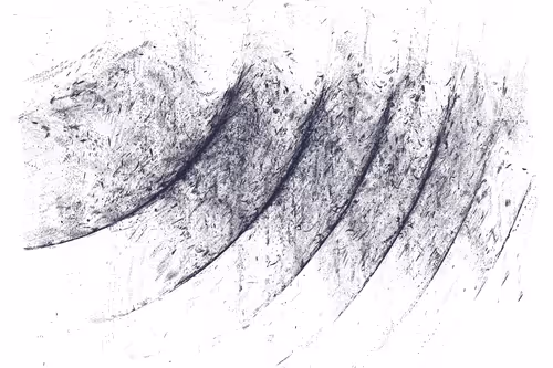 Item #229000431 Media