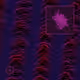 142000444