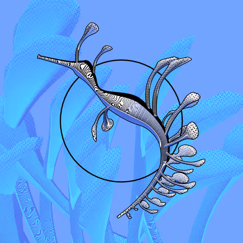 Item #160000872 Media