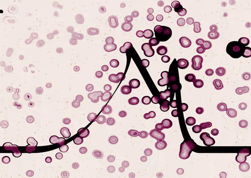 Item #328000100 Media