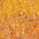 Fragments of an Infinite Field #552
