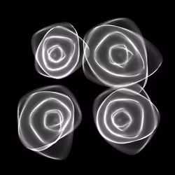 Flowers #4471