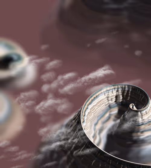 Item #291000098 Media