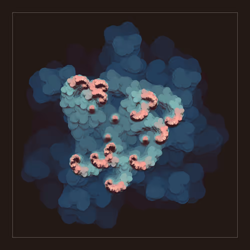 Item #103000087 Media