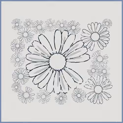 Daisies #164