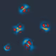 275000301