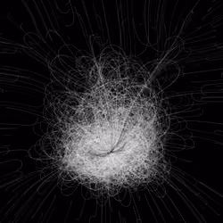 Phototaxis #526