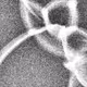 320000215