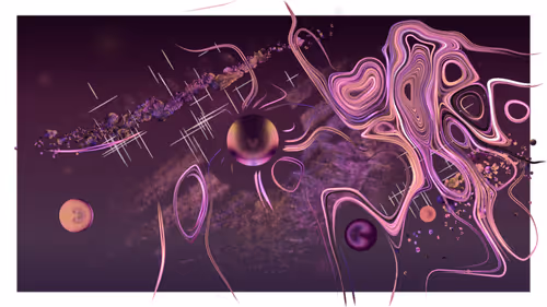 Item #350000058 Media