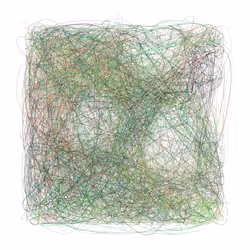 Scribbled Boundaries #781
