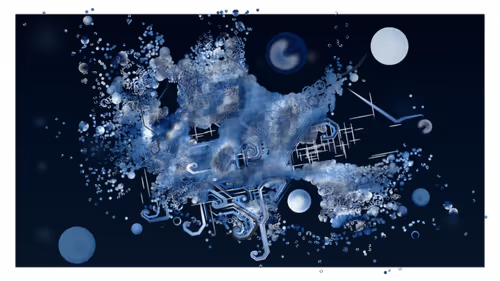 Item #350000342 Media