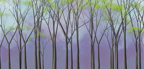 Item #254000024 Media