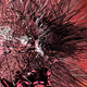 169000724