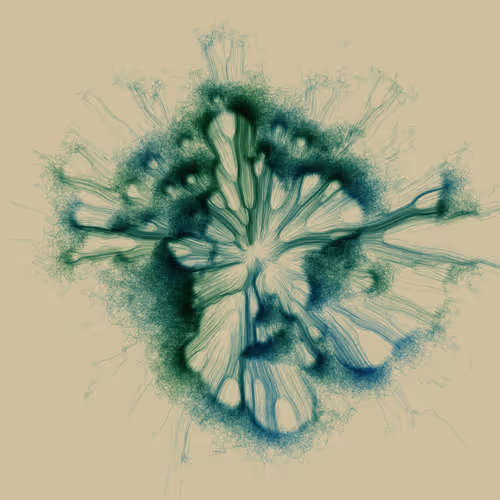 Item #165000942 Media