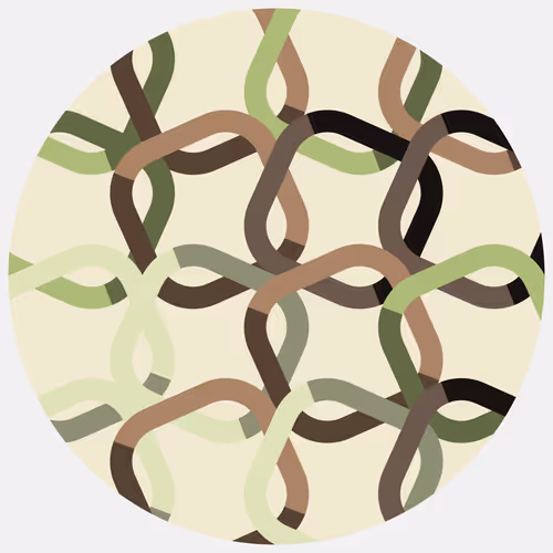 Item #166000566 Media