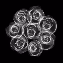 Flowers #1545
