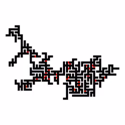 Invasion Percolation #114