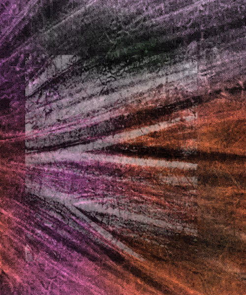 Item #317000406 Media