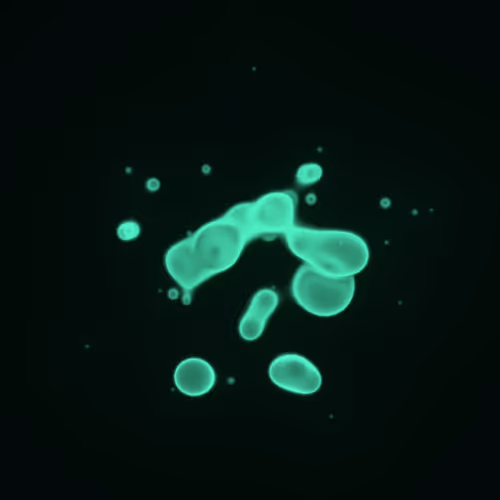 Item #62000383 Media