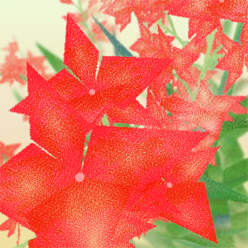 Cattleya By Ben Snell