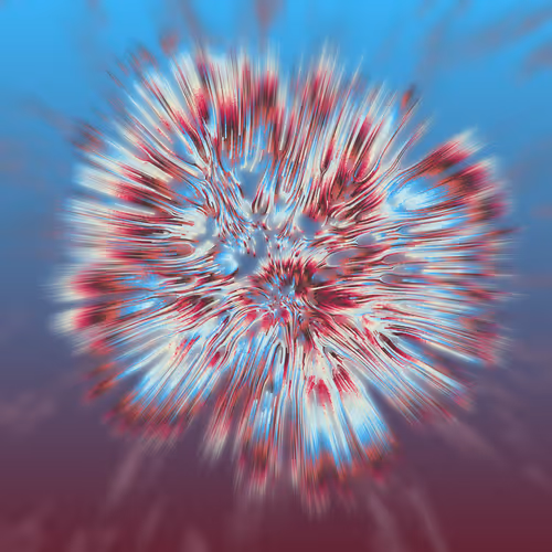 Item #68000294 Media