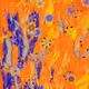 Fragments of an Infinite Field #452