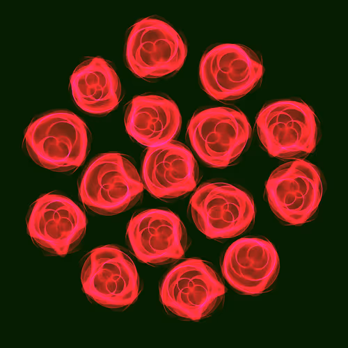 Flowers #4358