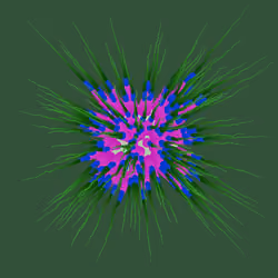 Star Flower #550
