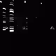 145000424