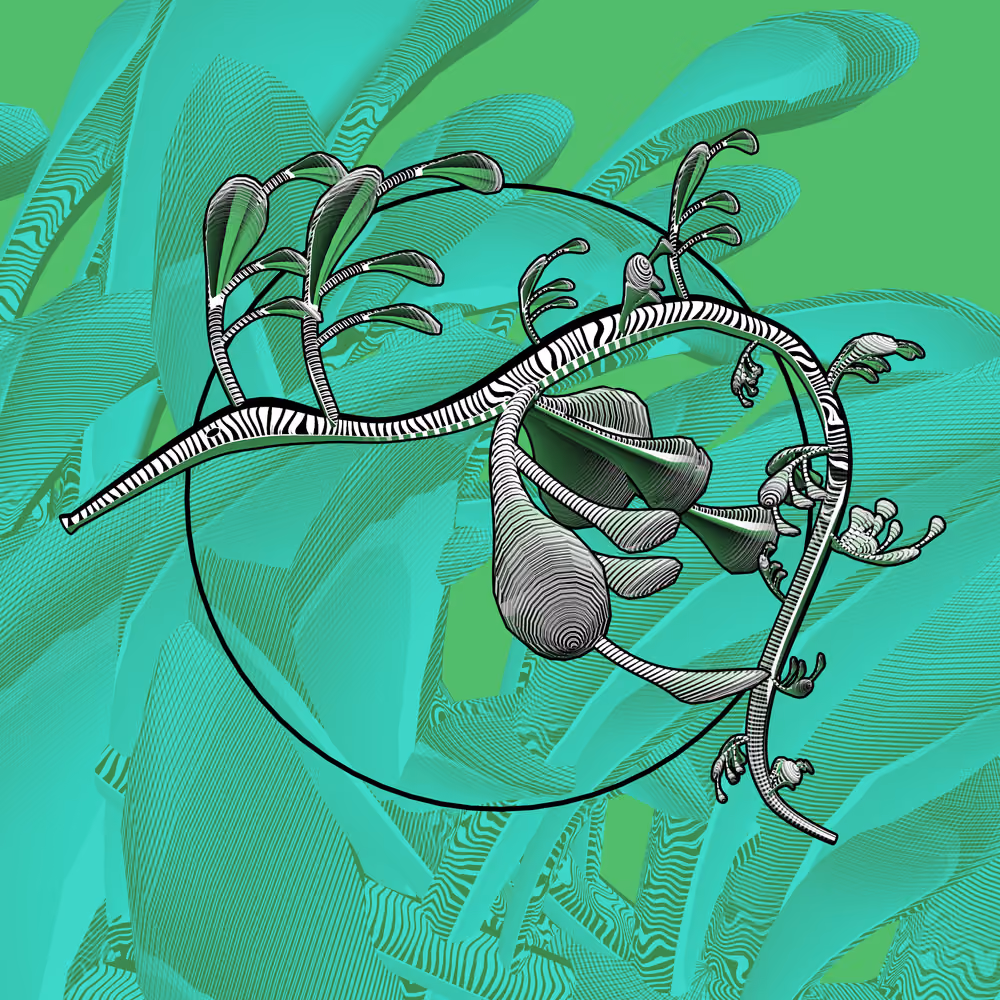 Seadragons #973