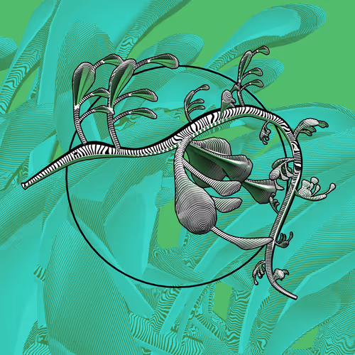 Seadragons #973