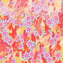 Fragments of an Infinite Field #676