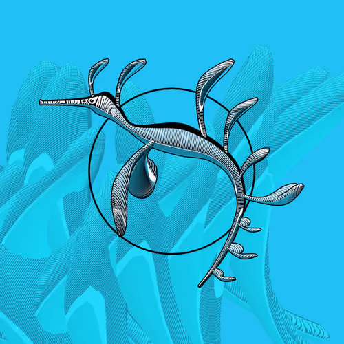 Seadragons #761