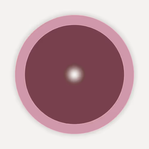 Item #77000045 Media