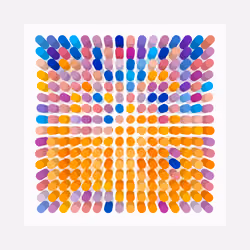 Transitions #2924
