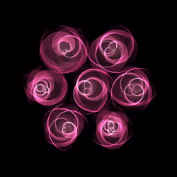 Flowers #5600