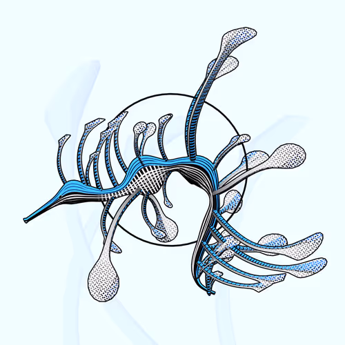 Item #160000271 Media