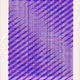 365000079