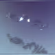 232000976