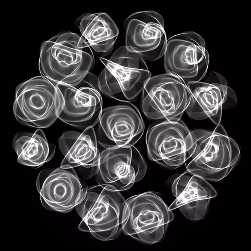 Flowers #2084