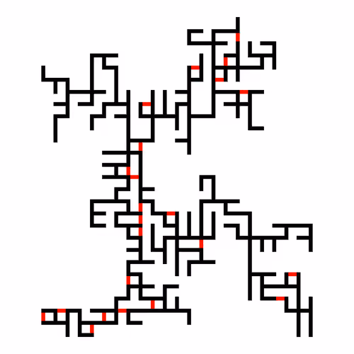 Invasion Percolation #71