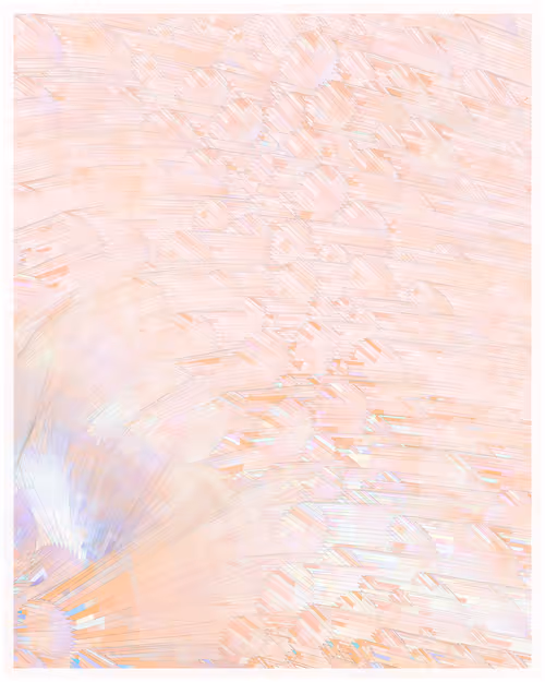 Item #344000101 Media