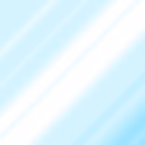 Item #24000128 Media